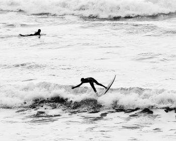 Silhouette men surfing in sea