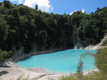 Scenic view of waterfall in forest