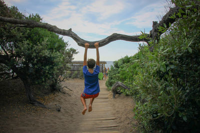 Rear view of boy hanging on tree trunk