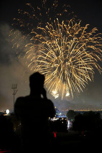 Rear view of fireworks against sky at night