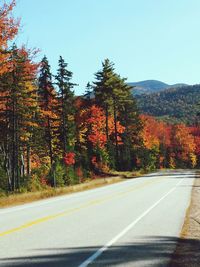 Road by trees against clear sky