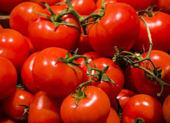 Close-up of tomatoes for sale in market