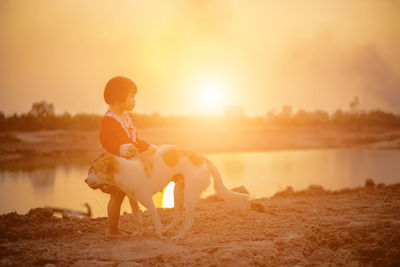 View of dog on beach during sunset