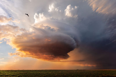 Supercell thunderstorm with a lone bird flying at sunset