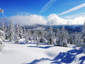 Scenic view of snowcapped mountains against sky