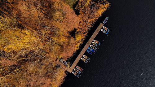 High angle view of road amidst trees during autumn