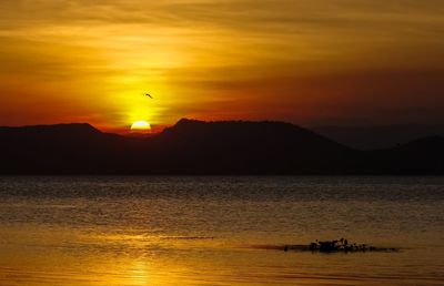 Scenic view of sea against orange sky