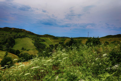 Scenic view of landscape against cloudy sky