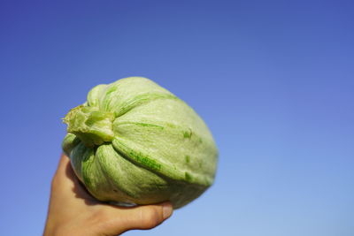 Close-up of hand holding apple against clear blue sky