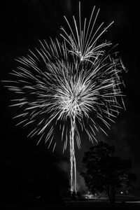 Low angle view of firework display at night