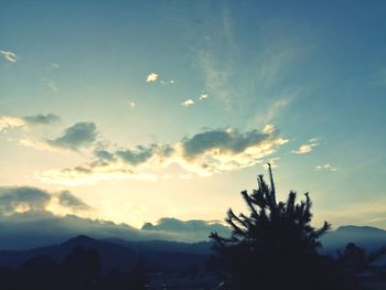 Low angle view of silhouette trees against sky at sunset