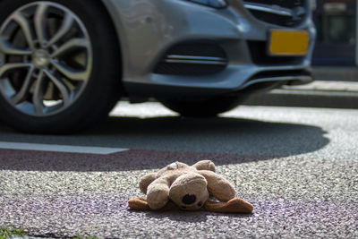 Close-up of stuffed toy on road