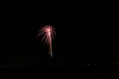 Woman standing by illuminated fireworks against sky at night