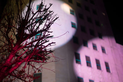 Low angle view of tree against building