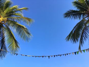 Low angle view of palm tree against clear blue sky