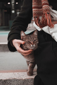 Cat seeking warmth in winter