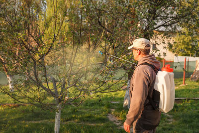 Treatment of trees from pests. fungicides and insecticides in a sprayer.