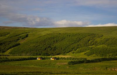 Scenic view of agricultural field against sky