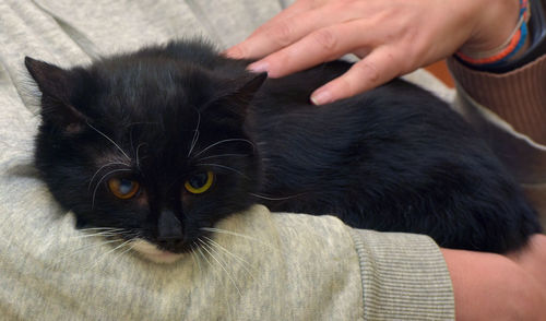 Portrait of person with black cat