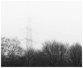 Bare trees against sky