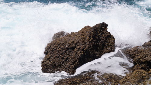 Close-up of waves splashing on rock