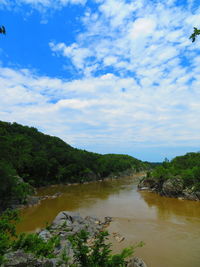 Scenic view of river amidst trees against sky