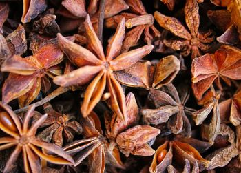 Full frame shot of dry leaves