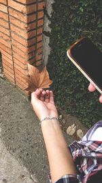 Cropped image of woman holding mobile phone and autumn leaf