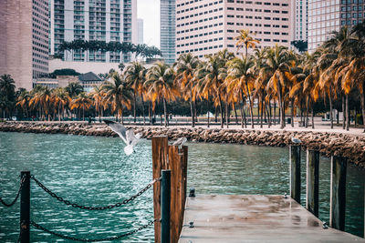 Scenic view of river in city