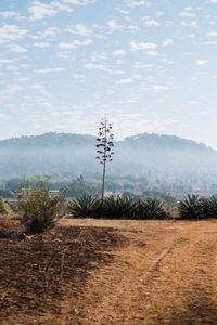 Scenic view of land against sky