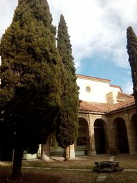 Trees in front of built structure against sky
