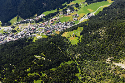 High angle view of trees and plants on field