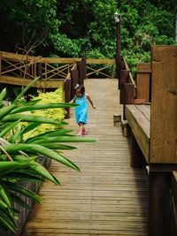 Full length of girl walking on wooden pier by plants