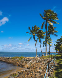 Palm trees on beach against blue sky