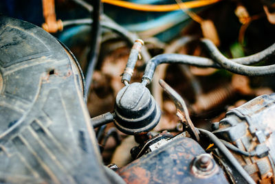 Close-up of insect on rusty metal