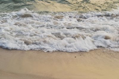 Scenic view of beach