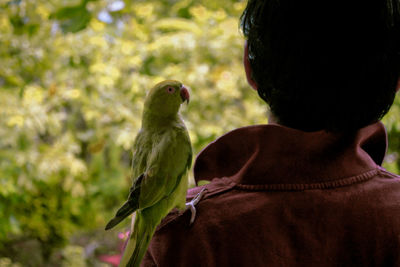 Rear view of man perching