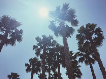 Low angle view of trees against sky