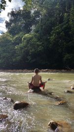 Rear view of man sitting at riverbank in forest