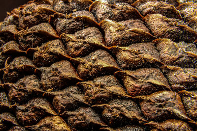 Close-up of pine seeds