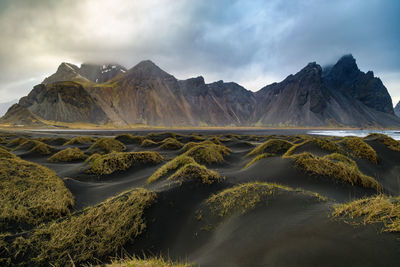 Black sand beach in iceland