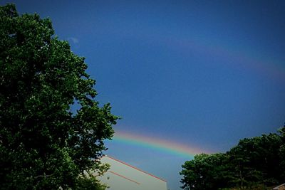 Low angle view of trees against rainbow in sky