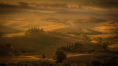 Scenic view of agricultural field against sky during sunset