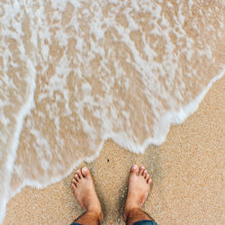 Low section of man standing on beach