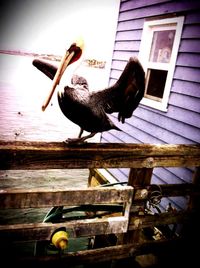 Low angle view of tree against sky
