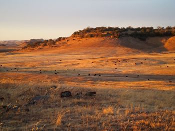 Scenic view of landscape