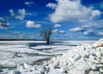 Landscape with lake shore, lake surface covered with ice, lonely tree on lake shore, early spring 