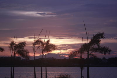 Silhouette trees by lake against sky during sunset