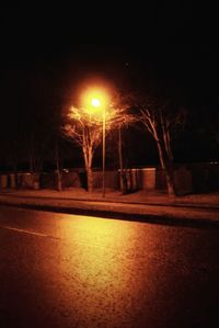 Illuminated trees at night