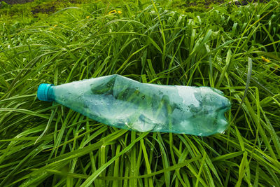 Close-up of wet leaf on grass